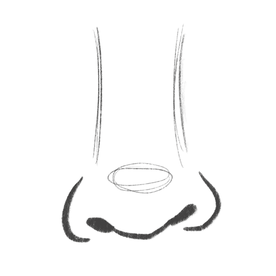 https://bardotbrush.com/wp-content/uploads/2019/06/Nose.png