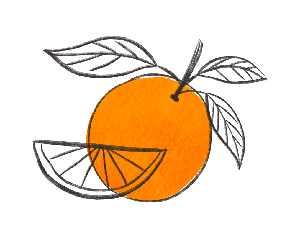 Premium Vector | Simple orange fruit outline design