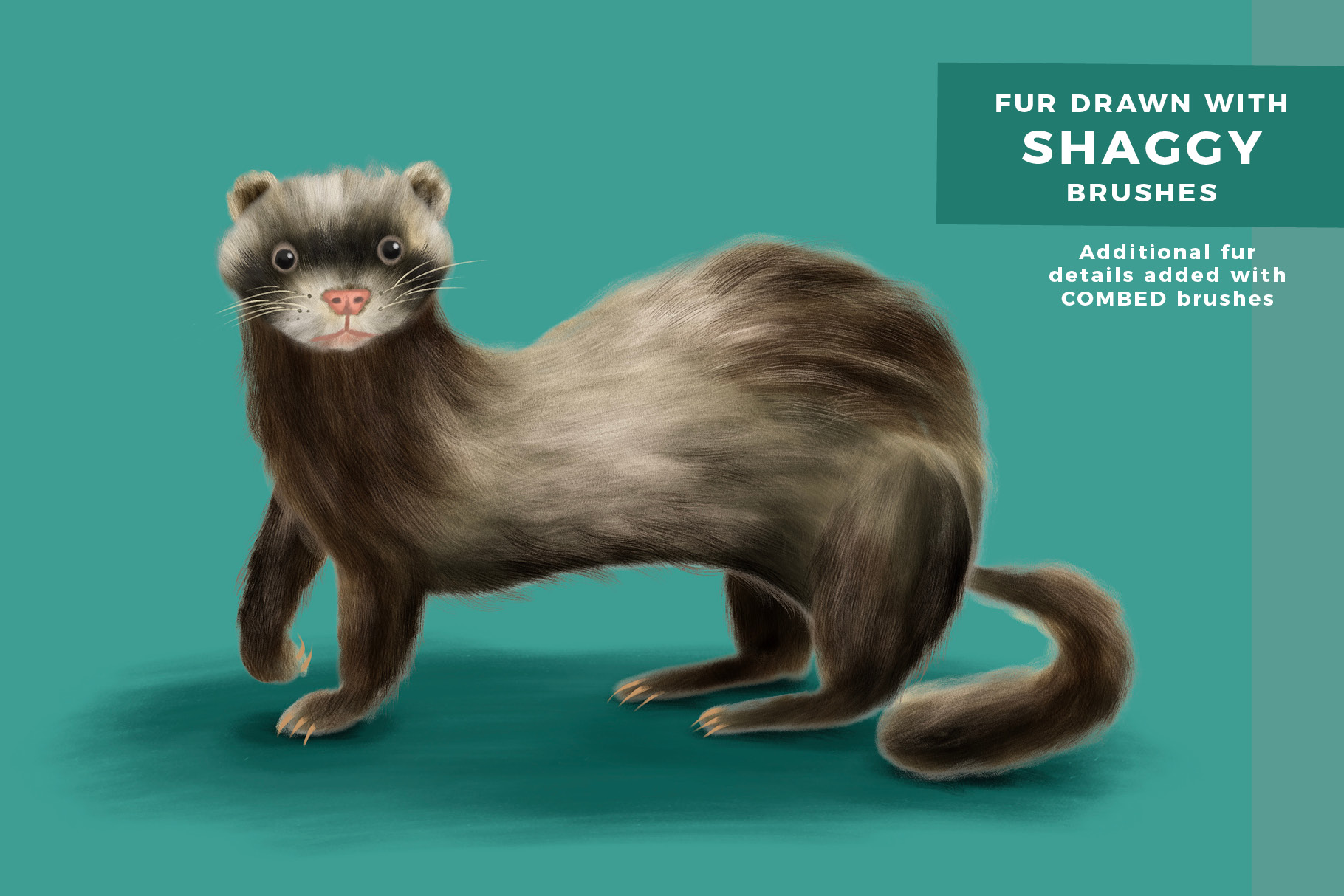 https://bardotbrush.com/wp-content/uploads/2021/02/Fur-Fluff-Free-Procreate-Brushes-by-Bardot-Brush-fox-ferret.jpg