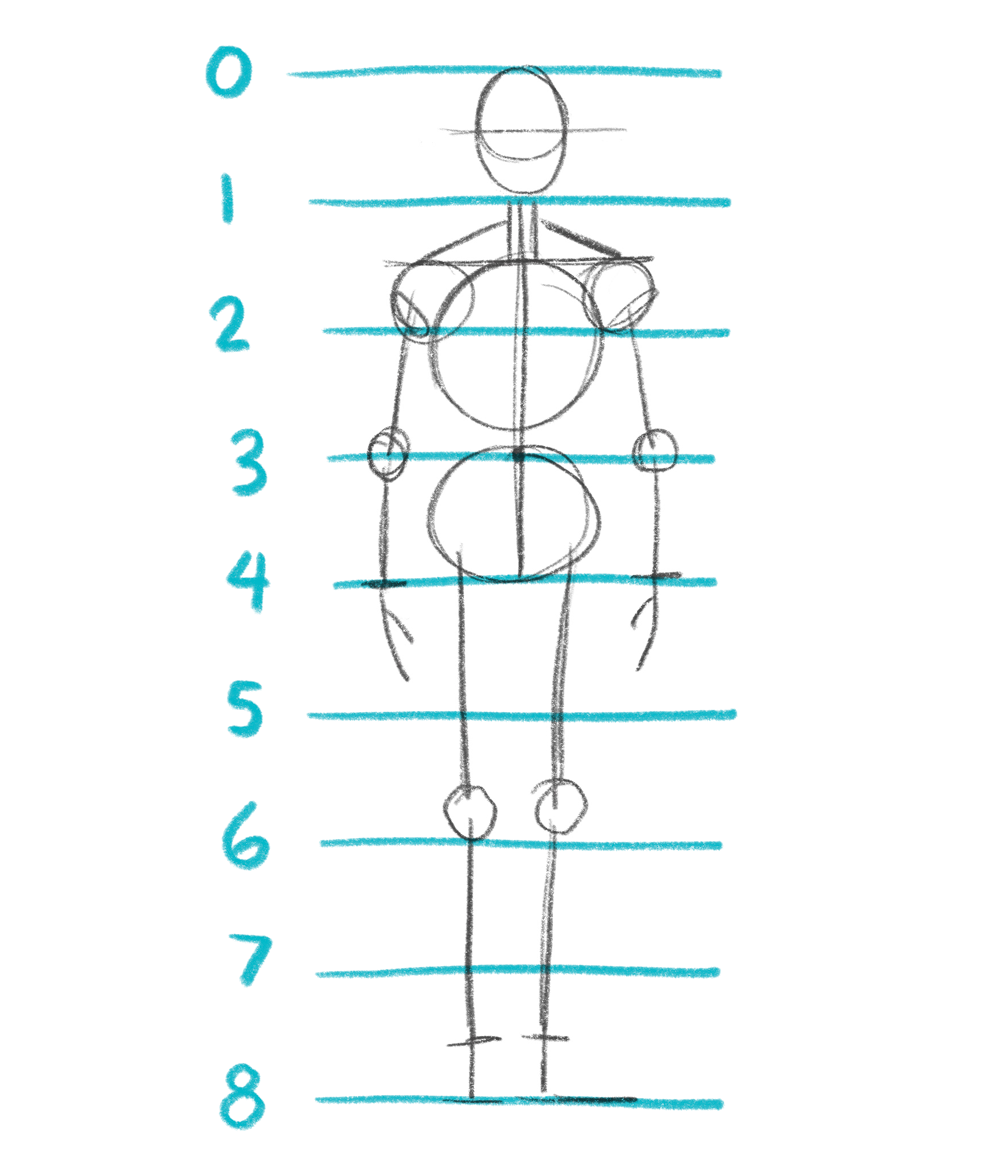 how to draw body proportions homework