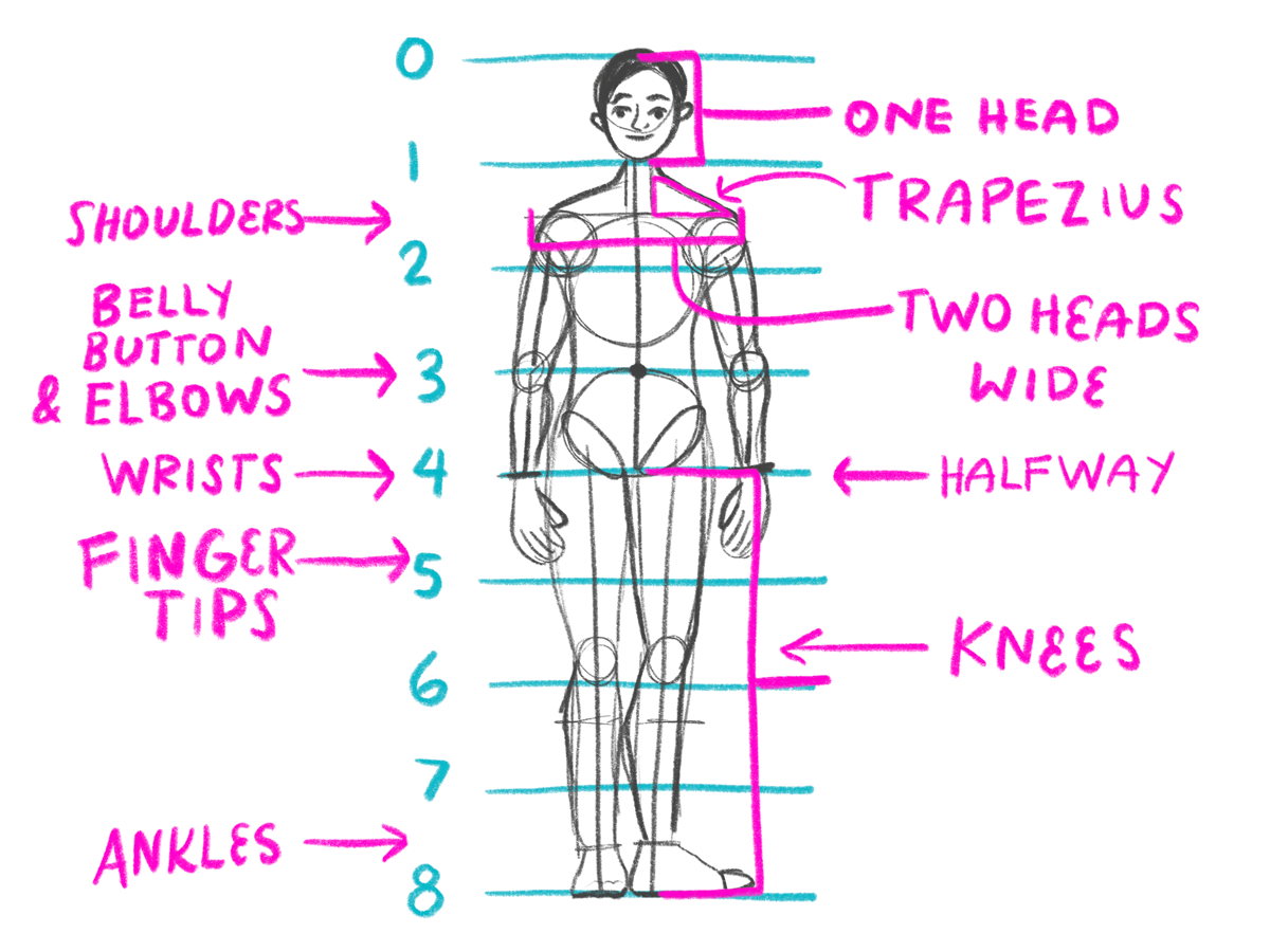Tutorial Of Drawing A Female Body. Drawing The Human Body, Step By Step  Lessons. Stock Photo, Picture and Royalty Free Image. Image 147861086.