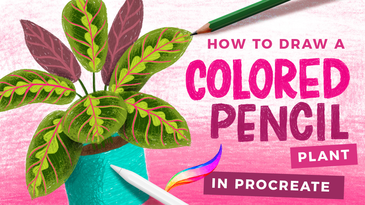 colored pencil procreate free
