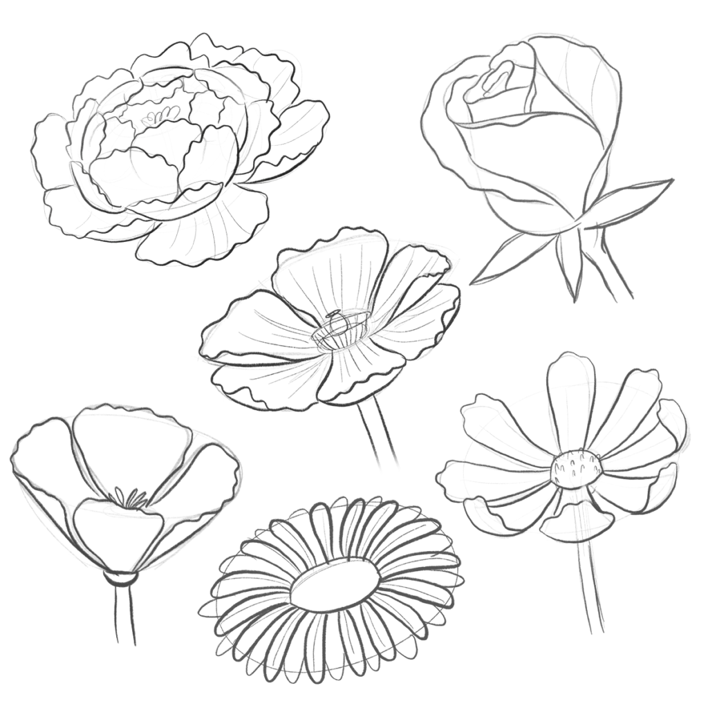 how to draw a flower
